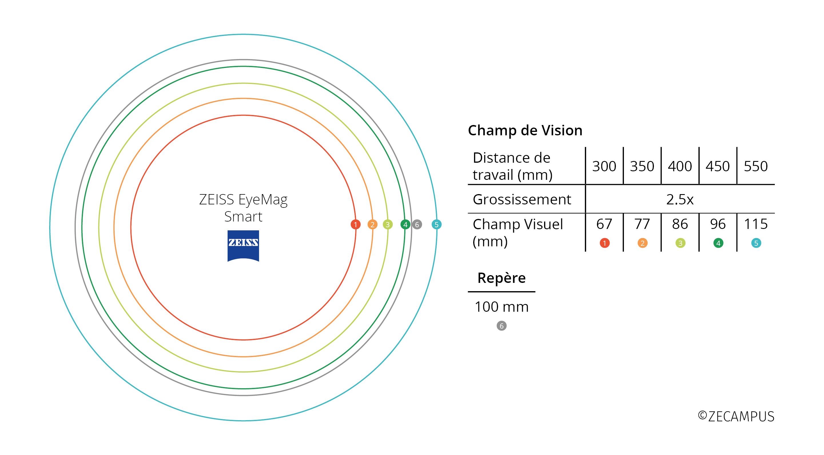 Champ de vision ZEISS EYEMAG SMART.jpg